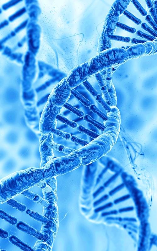 PDRN (पॉलीडॉक्सायरिबोन्यूक्लियोटाइड)